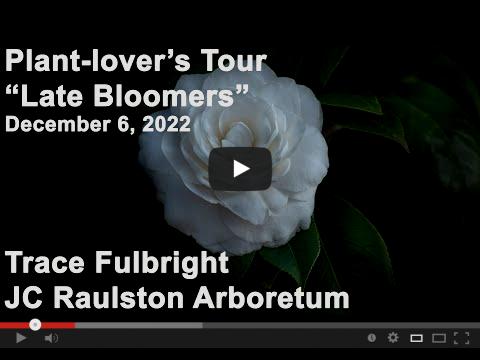 Video. plant Lovers Tour. Late Bloomers. Trace Fulbright