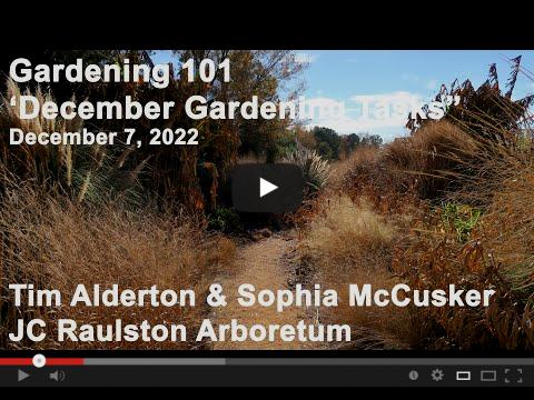 video. Gardening 101. December Gardening Tasks